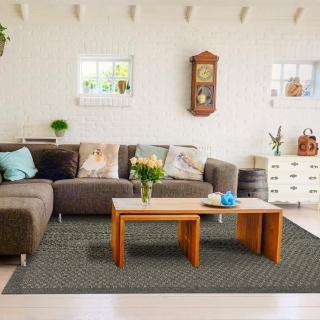 【Ambience】比利時Hampton 平織地毯#90014(133x195cm)
