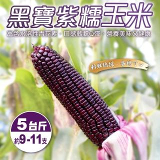 【WANG 蔬果】黑寶紫糯米玉米5斤x1箱(農民直配)