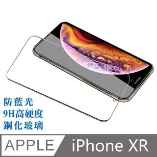 【台灣霓虹】iPhone XR 6.1吋滿版鋼化玻璃保護貼(9H防藍光鋼化膜)