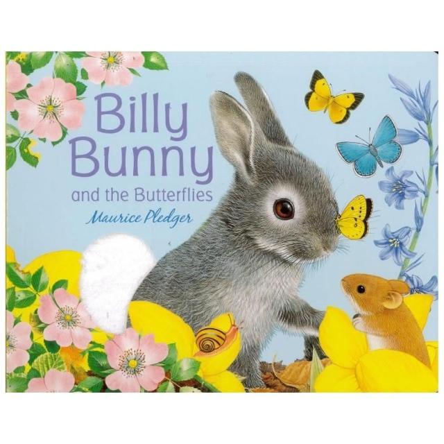 Billy Bunny and the Butte