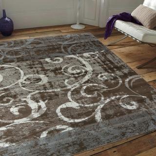 【Ambience】比利時Shiraz 時尚地毯-復古藤蔓(160x230cm)