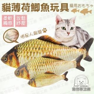 【寵物夢工廠】貓薄荷鯽魚玩具M號(寵物玩具/鯽魚抱枕/仿真魚)