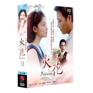 【弘恩影視】韓劇_火花 DVD