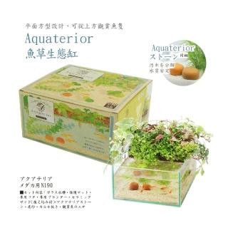 【Suisaku 水作】魚草生態缸