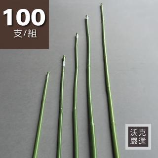 【沃克嚴選】園藝用綠竹 H150公分 100支
