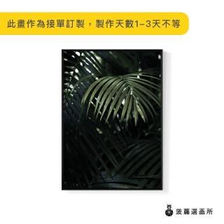 【菠蘿選畫所】熱帶叢林-50x70cm(北歐/攝影/客廳掛畫/複製畫/居家裝飾/餐廳佈置/牆壁裝飾)