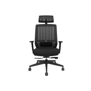 【backbone】台灣製Peacock華麗人體工學椅│全黑框│(辦公椅/椅子/人體工學椅)