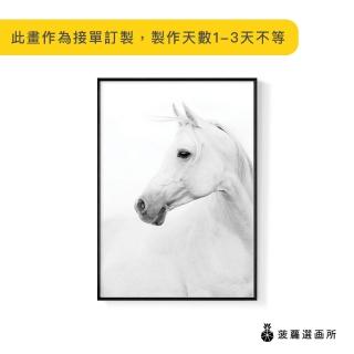 【菠蘿選畫所】白馬-30x40cm(北歐/客廳掛畫/藝廊牆/居家設計/複製畫/攝影)