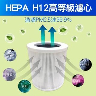 【KINYO】桌上型清淨機HEPA濾心 AO500-1(適用型號AO-505、AO-515)