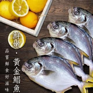 【頤珍鮮物】鮮嫩黃金鯧魚6尾入(250g/尾)