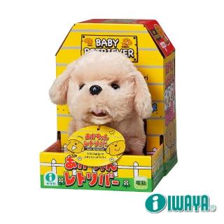 【日本IWAYA】甜甜屋-黃金獵犬(暢銷電子寵物)