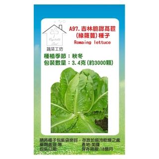 【蔬菜工坊】A97.吉林脆甜萵苣/綠蘿蔓/種子3.4克(約3000顆)