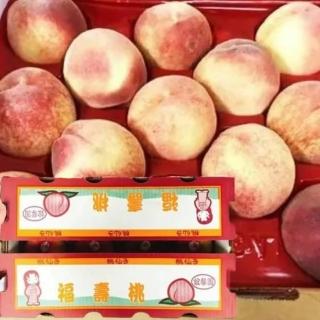 【RealShop】加州空運桃仙子水蜜桃4kg±10%x1箱(15-16顆入 真食材本舖)