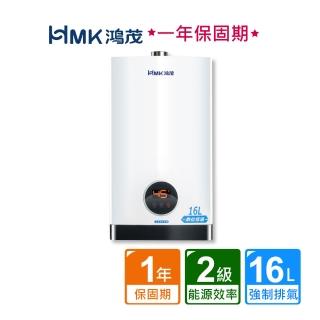 【HMK 鴻茂】智能恆溫強制排氣瓦斯熱水器16公升H-1601(NG1/LPG FE式 原廠保固不含安裝)