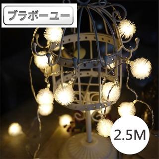 【百寶屋】LED派對佈置/耶誕聖誕燈飾燈串(蒲公英/暖白/2.5M)