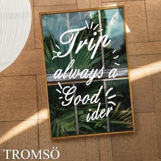 【TROMSO】北歐生活版畫有框畫-綠植米蘭WA211(40x60cm)