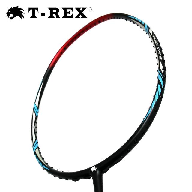 【T-REX 雷克斯】消光黑碳纖維複合羽球拍(YS-STORM3108)