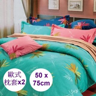 【Comfortsleep】100%天然棉歐式薄枕頭套2入(湖泊)