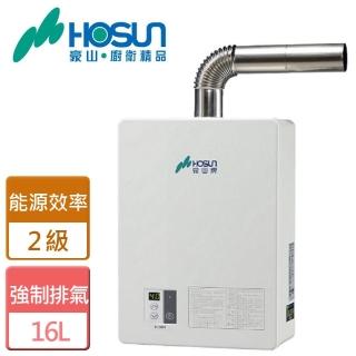 【豪山】強制排氣FE式熱水器16L(H-1660FE-NG1-含基本安裝)