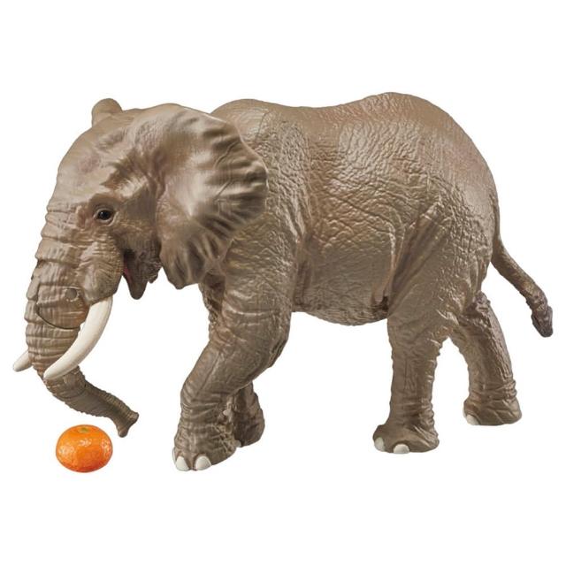 【TAKARA TOMY】ANIA 多美動物 AS-02 非洲象 附橘子(男孩 動物模型)