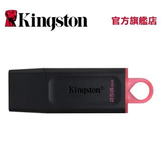 【Kingston 金士頓】DataTraveler Exodia USB 256GB 扣環隨身碟(DTX/256GB)