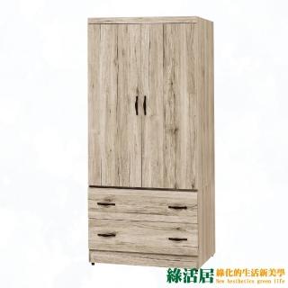 【綠活居】羅蘭 現代2.7尺二門二抽衣櫃/收納櫃(二色可選)