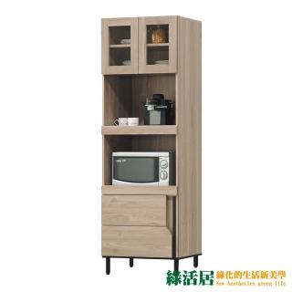 【綠活居】阿巴丹 現代2尺二抽二門高餐櫃/收納櫃