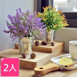 【Meric Garden】創意北歐ins風仿真迷你療癒小盆栽/桌面裝飾擺設(2色一組)