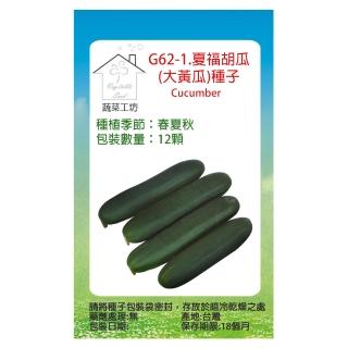 【蔬菜工坊】G62-1.夏福胡瓜種子(大黃瓜)