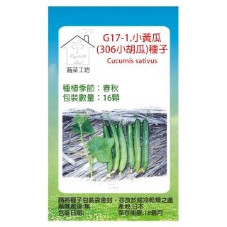 【蔬菜工坊】G17-1.小黃瓜 種子16顆(306小胡瓜)