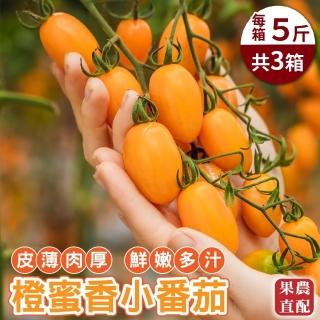 【農民直配】台灣嚴選橙蜜香番茄(3箱_5斤/箱_共15斤)