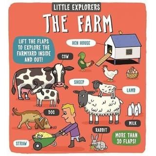 Little Explorers Farm硬頁翻翻書