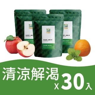 【Hoiis好集食】洛神鳳梨養生茶10入x3袋(薑黃鳳梨/蘋果洛神/鳳梨洛神)