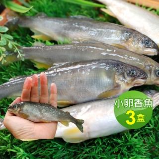 【優鮮配】宜蘭純淨爆卵母香魚3盒(11-17尾裝/920g/盒)