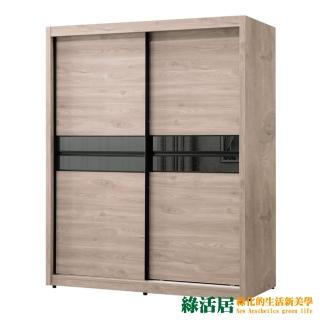 【綠活居】錫西里 時尚5尺推門衣櫃/收納櫃