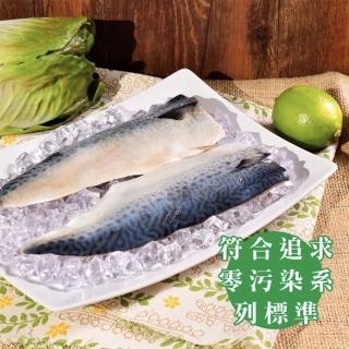 【江醫師健康鋪子】頂級挪威鯖魚片10片組(175g/片)