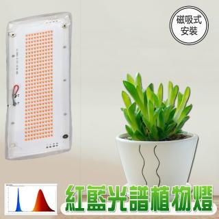 【JIUNPEY 君沛】20W 紅藍混光譜磁吸式 植物燈版 裸版型(植物生長燈)