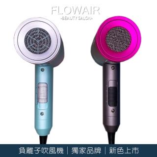 【FLOWAIR】沙龍級負離子吹風機 速乾科技 護髮 降噪 輕量吹風機 2色可選(BSMI檢驗合格商品)