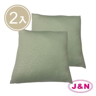 【J&N】防蚊壓花抱枕60*60綠色(2 入/1組)
