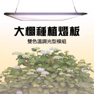 【JIUNPEY 君沛】50W 雙色光譜吊掛式植物燈版(植物生長燈)