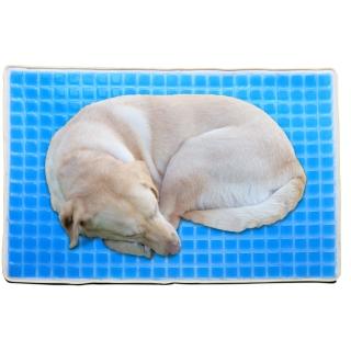 大尺寸冰涼果凍寵物涼墊 涼感墊 冰涼墊(冷暖兩用雙面寵物床墊 睡墊)