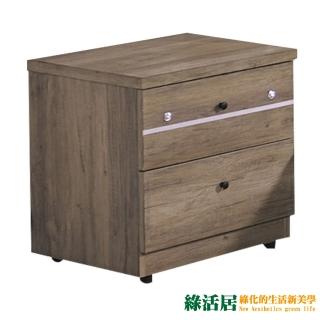【綠活居】查莫 時尚1.6尺二抽床頭櫃/收納櫃