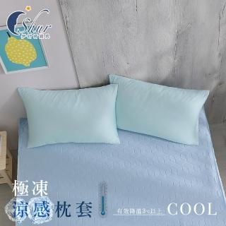 【ISHUR 伊舒爾】極凍涼感枕套2入 台灣製造(兩色任選/枕頭套)