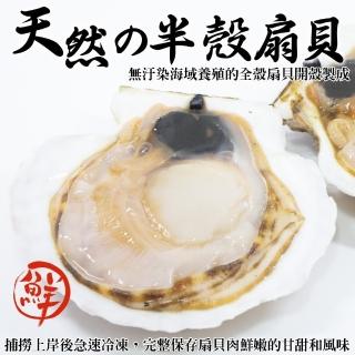 【三頓飯】生鮮半殼扇貝(3包_5-9入/500g/包)