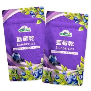 【統一生機】藍莓乾100gx2包