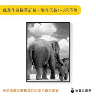 【菠蘿選畫所】呵護 – 大象 -50x70cm(大象/客廳佈置/家居佈置/臥室背景/動物掛畫/複製畫)