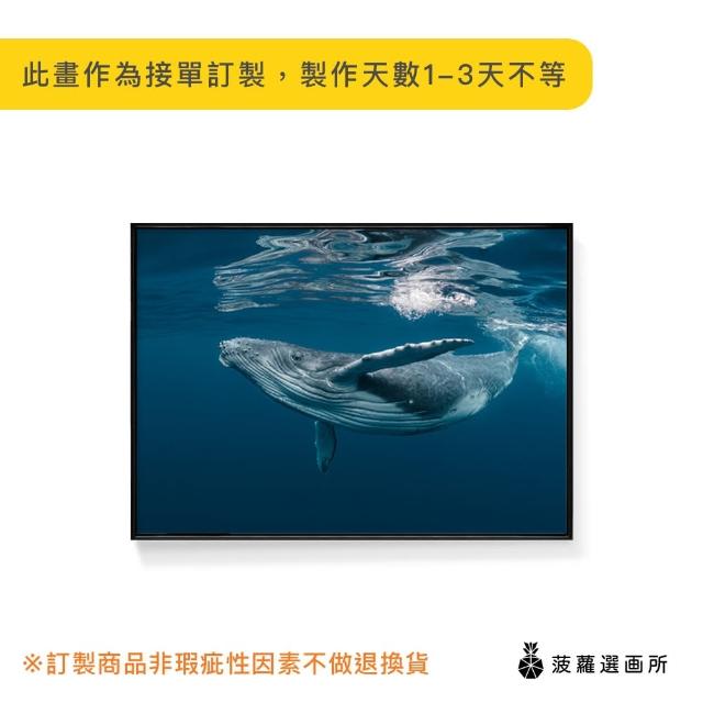 【菠蘿選畫所】海洋世界－鯨魚-30x40cm(鯨魚/客廳佈置/家居佈置/臥室背景/海洋掛畫/複製畫)