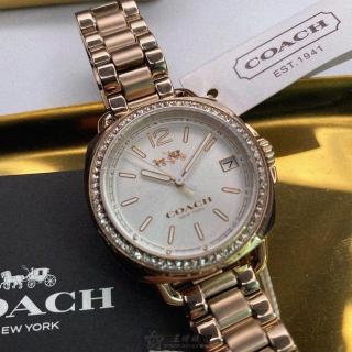 【COACH】COACH蔻馳女錶型號CH00093(白色錶面香檳金錶殼香檳金精鋼錶帶款)