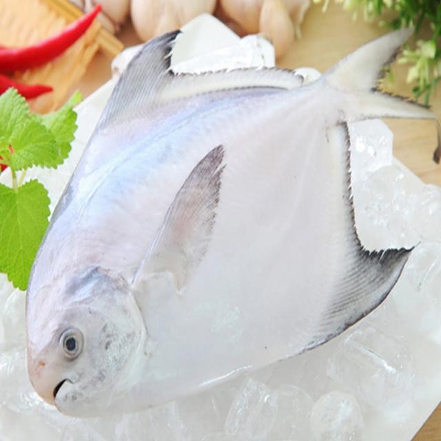 【海之醇】大規格野生正白鯧魚-3隻組(380g±10%/隻)