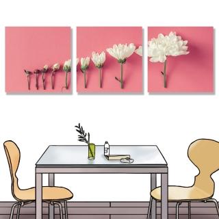 【24mama 掛畫】三聯式 油畫布 創意 粉紅 白色花卉 開花 極簡 魅力 美麗 柔和 無框畫-30x30cm(盛開排列)